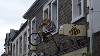 Bee