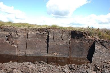Peat
