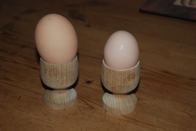 Egg