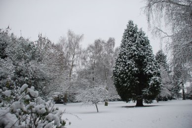 Churchyard