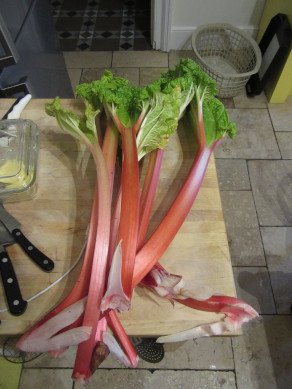 Rhubarb