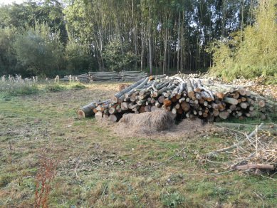 Logs