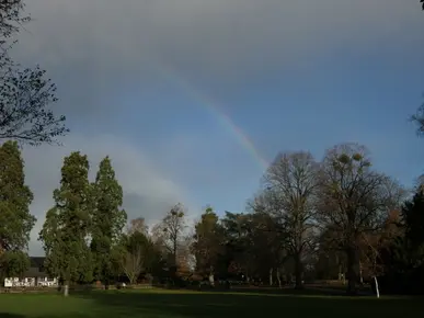 Rainbow