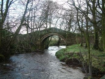 Bridge