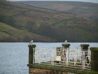Reservoir