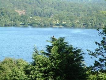 Windermere