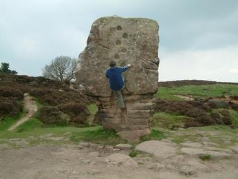 Cork Stone