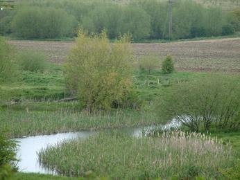 Canal