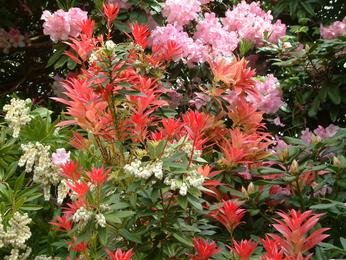 Heligan