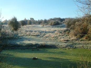 Willowbank Willowbank