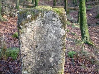 Stone