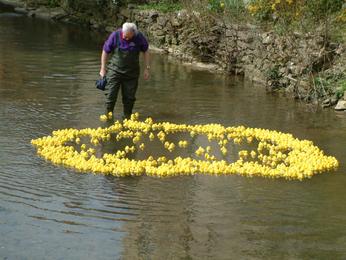 Duck Race