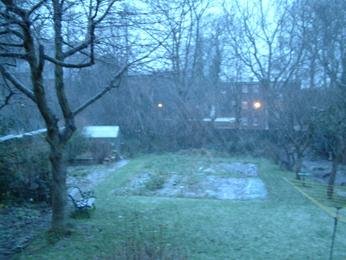 Snow