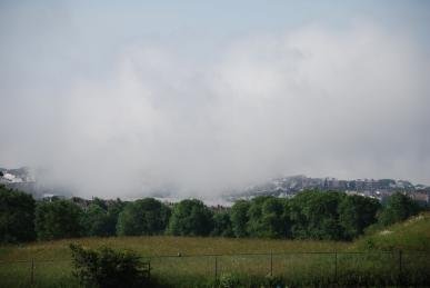 Mist