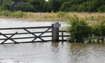 Old Moor