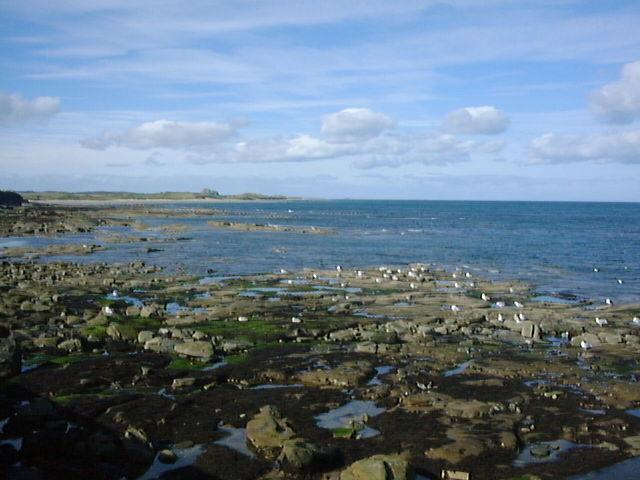 Seahouses