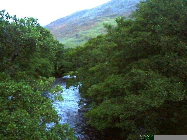 Glen Almond