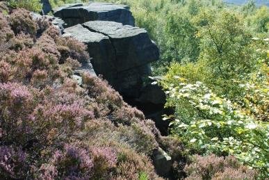Wharncliffe