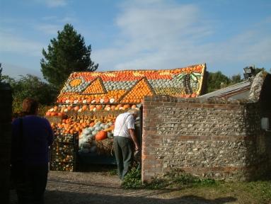 Pumpkins