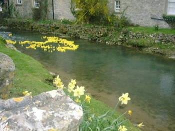 Duck Race