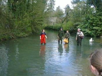 Duck Race