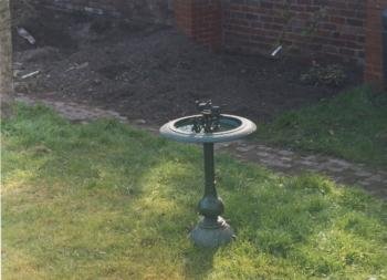 Bird Bath