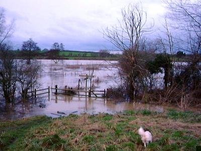 Stour