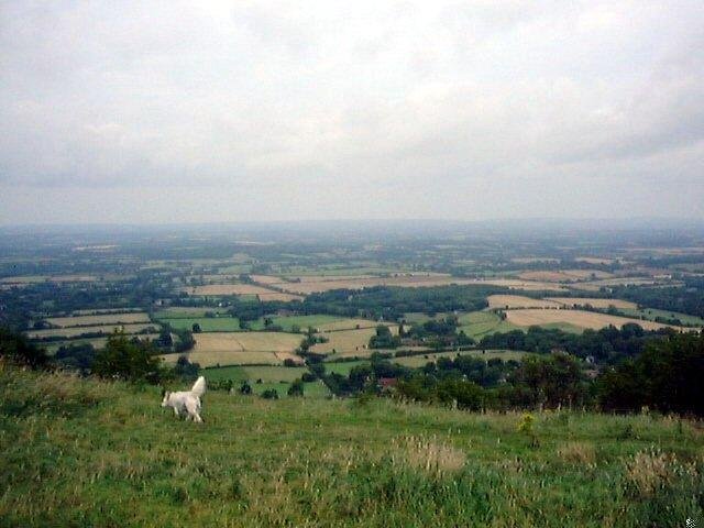 Beacon