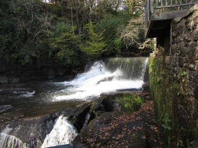 Waterfalls