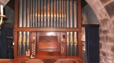 Organ