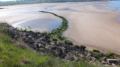 Fish Weir