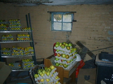 Apples Apples
