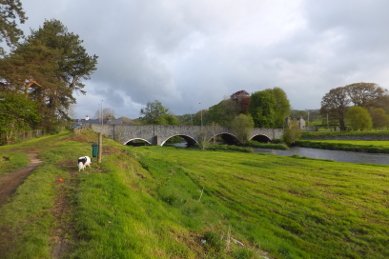 Bridge