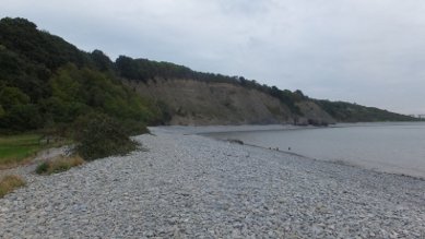 Bull Cliff