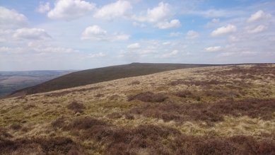 Barrows