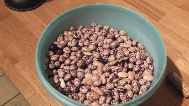 Beans