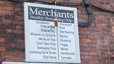 Chip