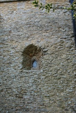 Window