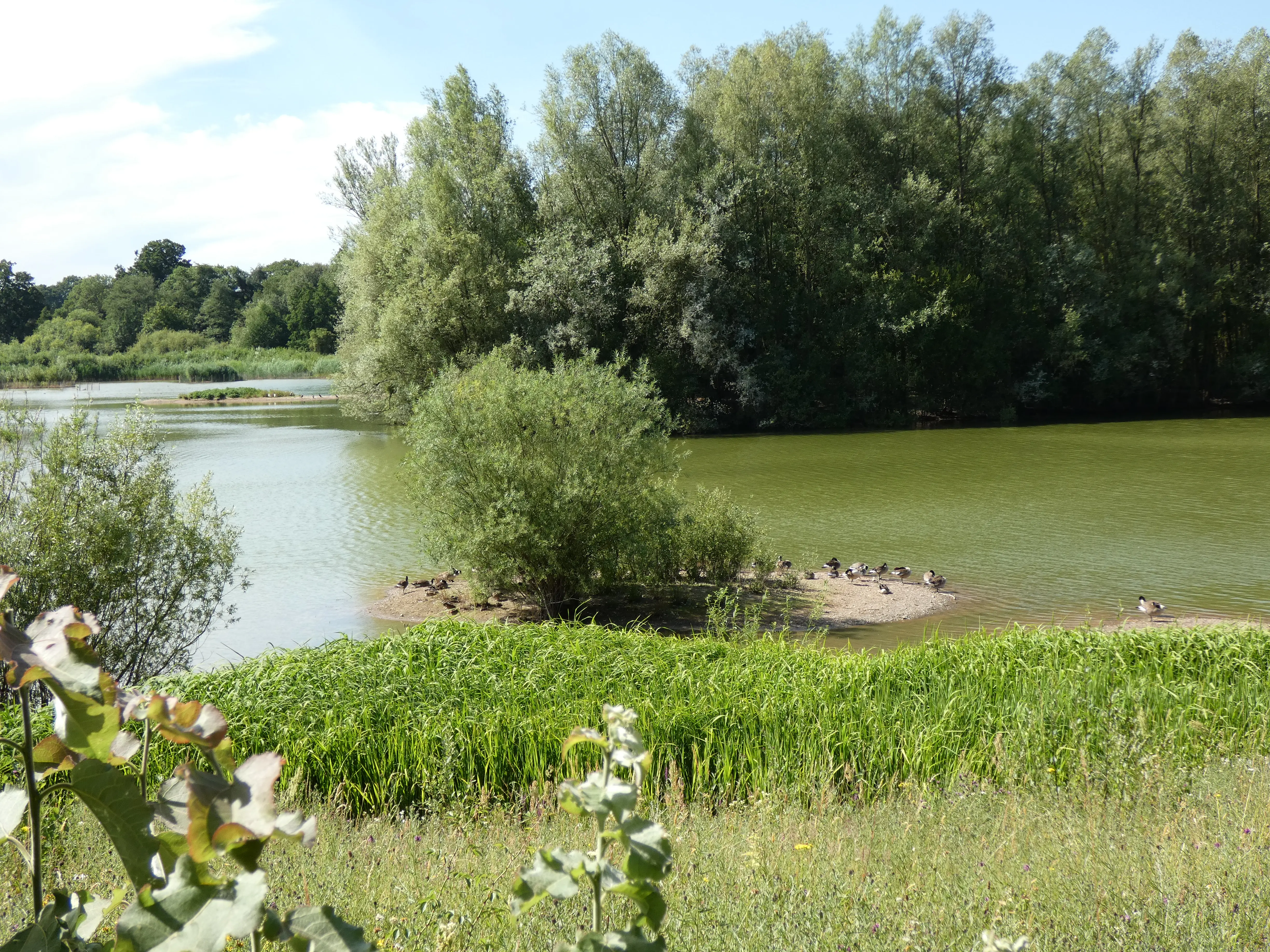Lake