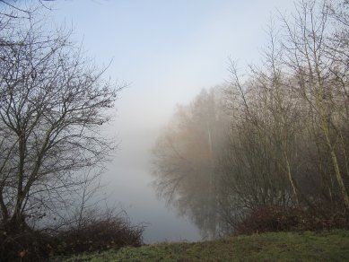 Mist