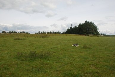 Offa's Dyke