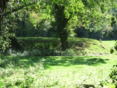 Motte