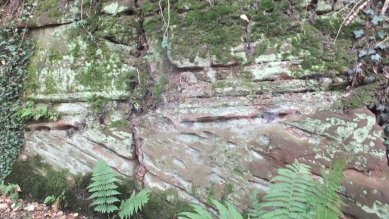Sandstone