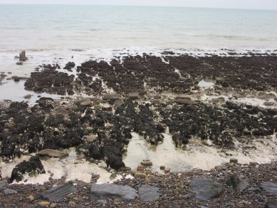 Blackrock