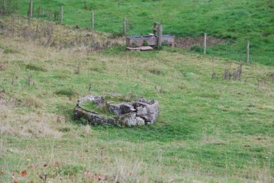 Cider Press