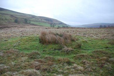 Barrow