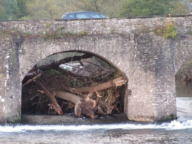 Bridge
