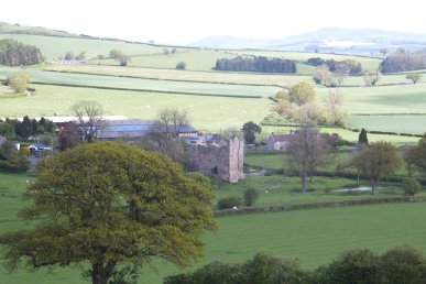 Hopton Castle