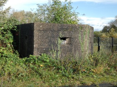 Pill Box