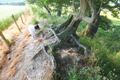 Offa's Dyke